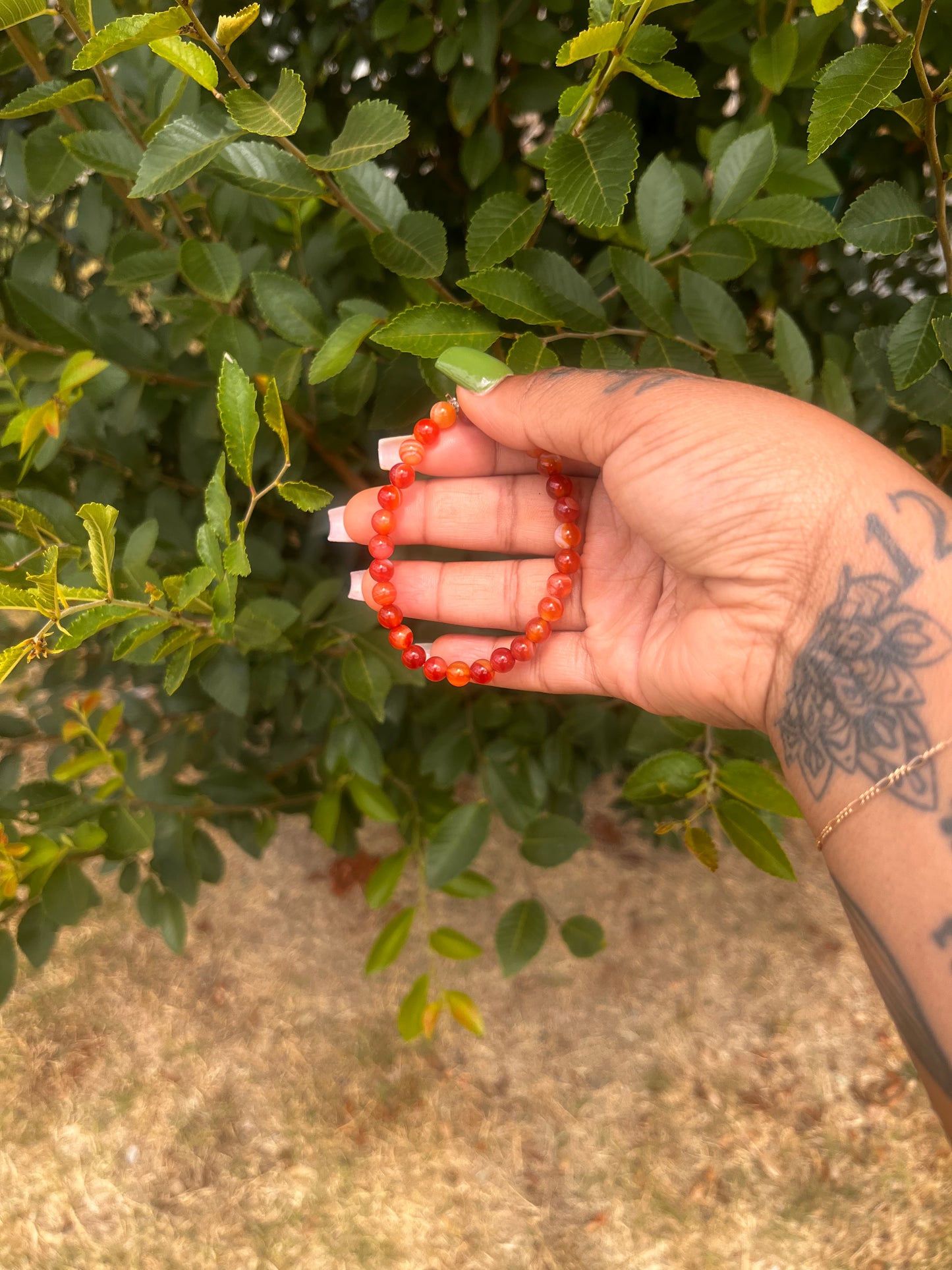 Creative Carnelian